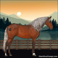 Horse Color:Silver Bay 