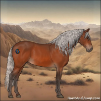 Horse Color:Silver Brown 