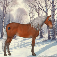 Horse Color:Silver Bay 
