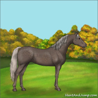 Horse Color:Silver Black 