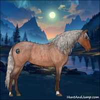 Horse Color:Silver Brown Roan 