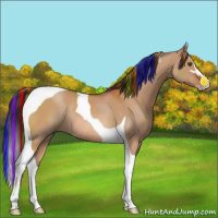 Horse Color:Painted Brown Dun Sabino Tobiano Rabicano 