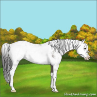 Horse Color:Smoky Grullo Sabino Rabicano 