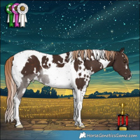 Horse Color:White Spotted Liver Chestnut Tobiano 