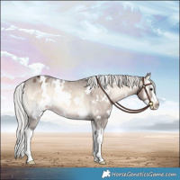 Horse Color:White Spotted Silver Brown Onyx Mushroom Splash Appaloosa 