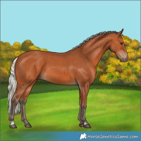 Horse Color:Silver Bay 