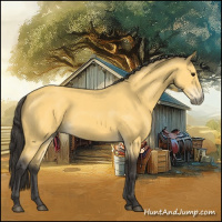 Horse Color:Buckskin