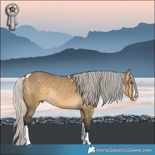 Horse Color:Silver Buckskin Dun Splash Tobiano Rabicano 