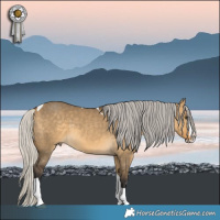 Horse Color:Silver Buckskin Dun Splash Tobiano Rabicano 