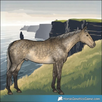 Horse Color:Silver Buckskin Dun