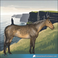 Horse Color:Silver Buckskin Dun