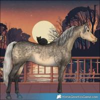 Horse Color:Silver Buckskin Dun