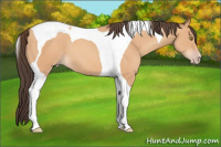 Horse Color:Amber Champagne Tobiano 