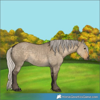Horse Color:Silver Smoky Grullo