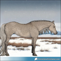 Horse Color:Silver Smoky Grullo 