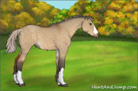 Horse Color:Silver Buckskin Dun 