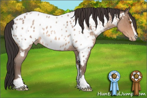 Horse Color:Sable Champagne Roan Sabino Appaloosa 