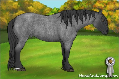 Horse Color:Blue Roan Rabicano 