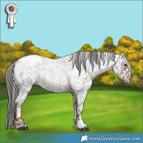 Horse Color:Liver Red Roan Sabino Appaloosa Rabicano 