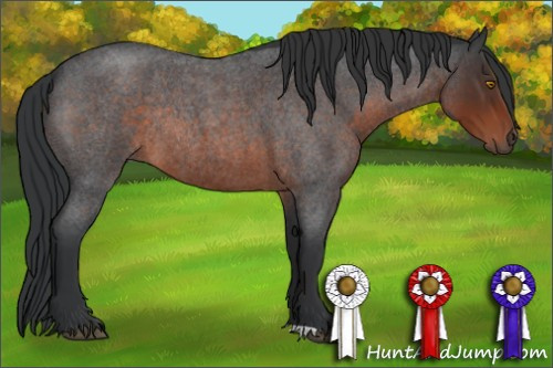 Horse Color:Brown Roan Rabicano 