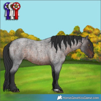 Horse Color:Brown Roan Rabicano
