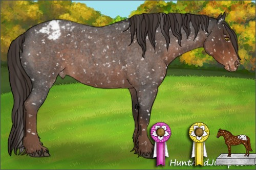Horse Color:Liver Red Roan Appaloosa Rabicano 