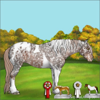 Horse Color:Liver Red Roan Tobiano Appaloosa