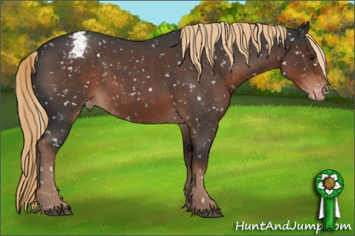 Horse Color:Liver Red Roan Sabino Appaloosa Rabicano 