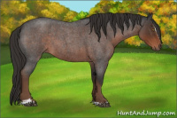 Horse Color:Liver Red Roan Sabino 