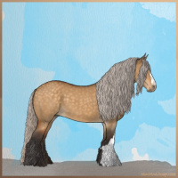Horse Color:Silver Buckskin Dun 