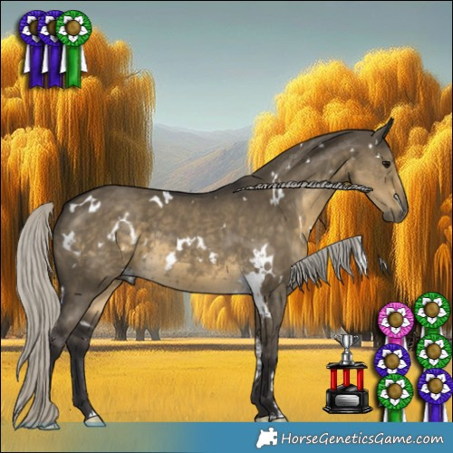 Horse Color:White Spotted Silver Smoky Grullo 