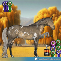 Horse Color:White Spotted Silver Smoky Grullo 