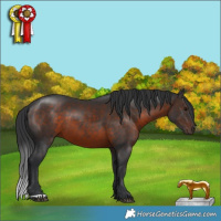 Horse Color:Brown 
