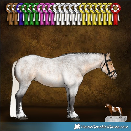 Horse Color:Silver Buckskin Roan 