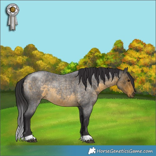Horse Color:Buckskin Roan 