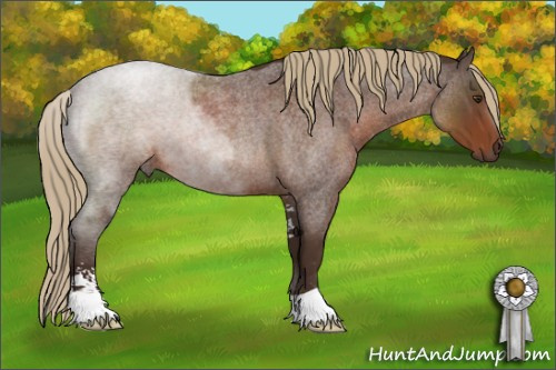 Horse Color:Liver Red Roan Sabino 