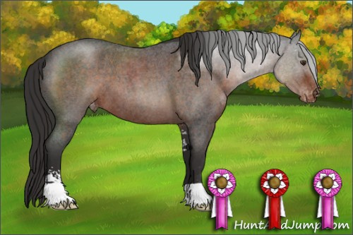Horse Color:Liver Red Roan Sabino Appaloosa 