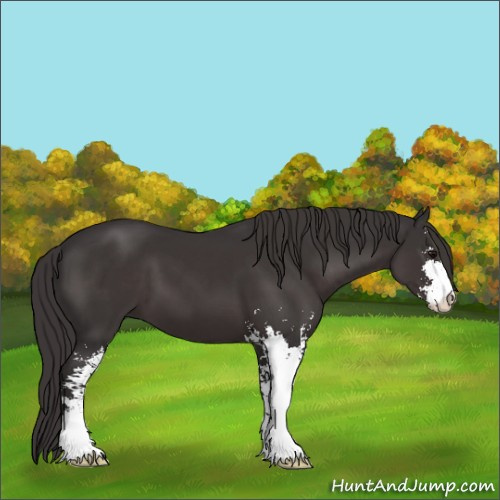 Horse Color:Smoky Black Sabino 