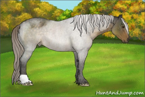 Horse Color:Chocolate Palomino Roan 