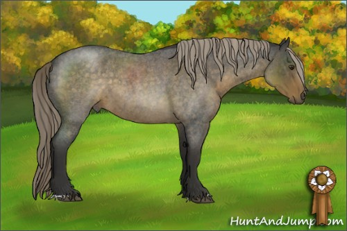 Horse Color:Chocolate Palomino Roan 