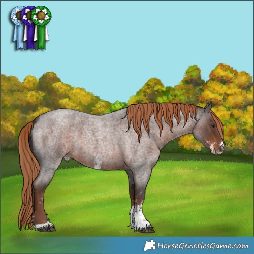 Horse Color:Liver Red Roan Sabino 