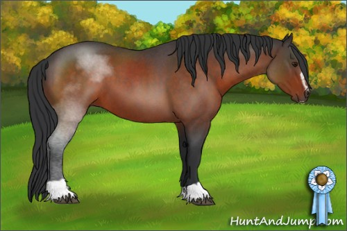 Horse Color:Brown Roan Sabino 