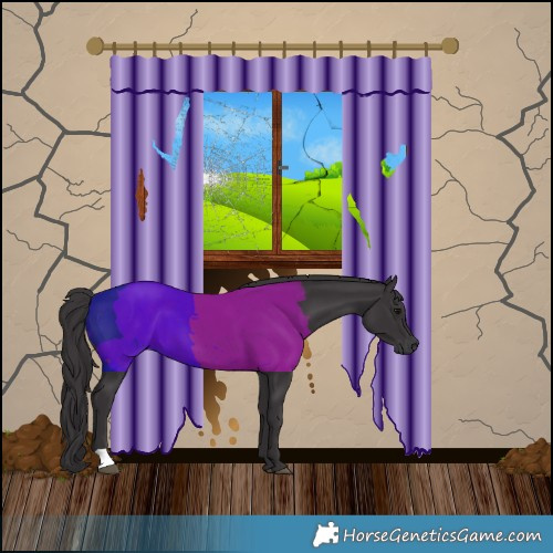 Horse Color:Smoky Black 