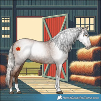 Horse Color:Gray Silver Black Pearl Tobiano 