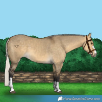 Horse Color:Silver Buckskin Dun 