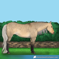 Horse Color:Silver Buckskin Dun 