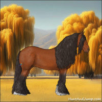 Horse Color:Buckskin Tobiano 