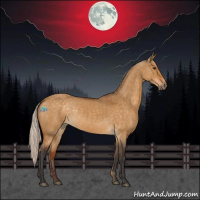 Horse Color:Silver Buckskin Dun 