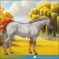 Horse Color:Chocolate Palomino Roan 