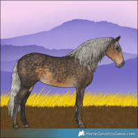 Horse Color:Silver Smoky Black